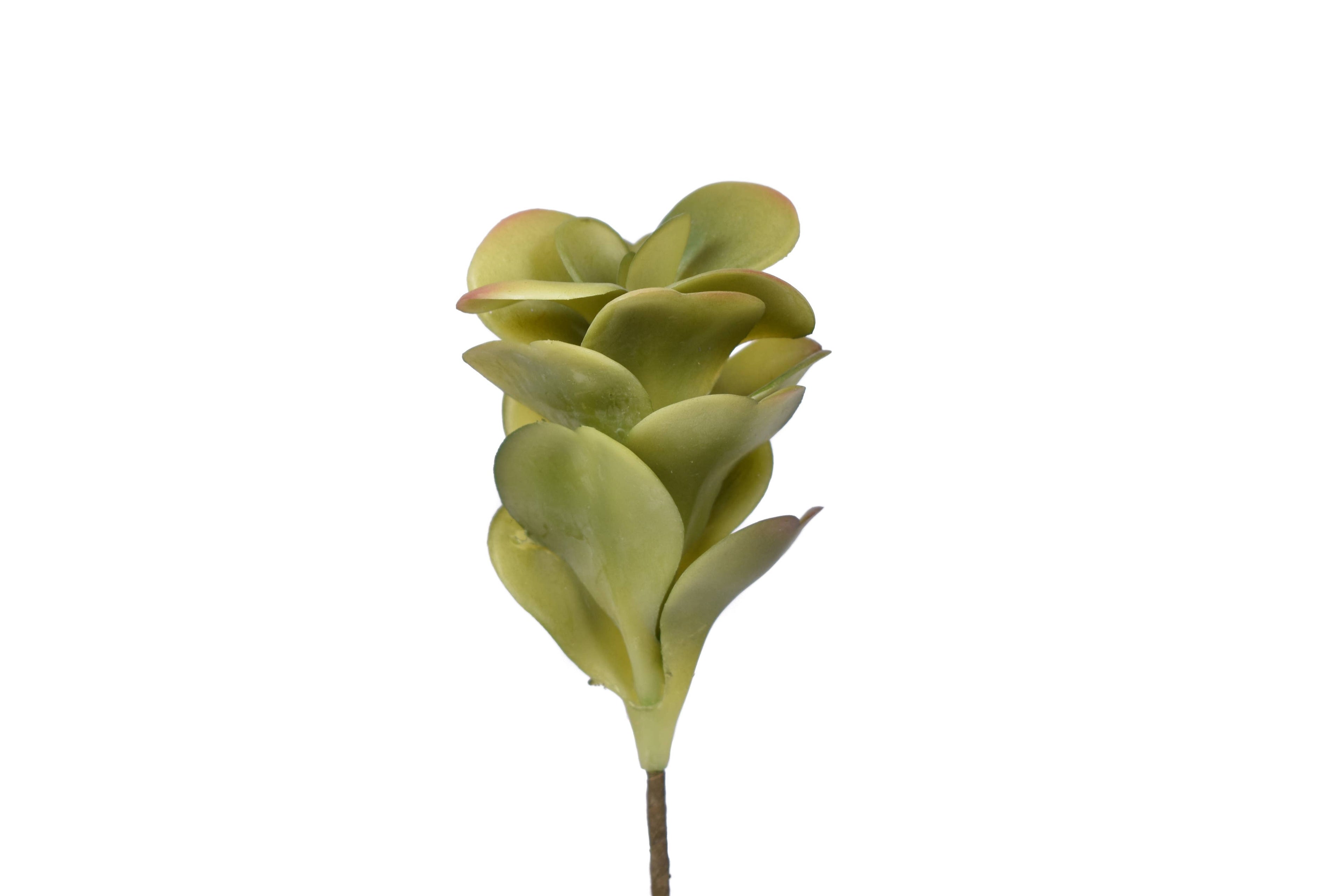 7" Jade Pick- Uv Protected JA1008UV