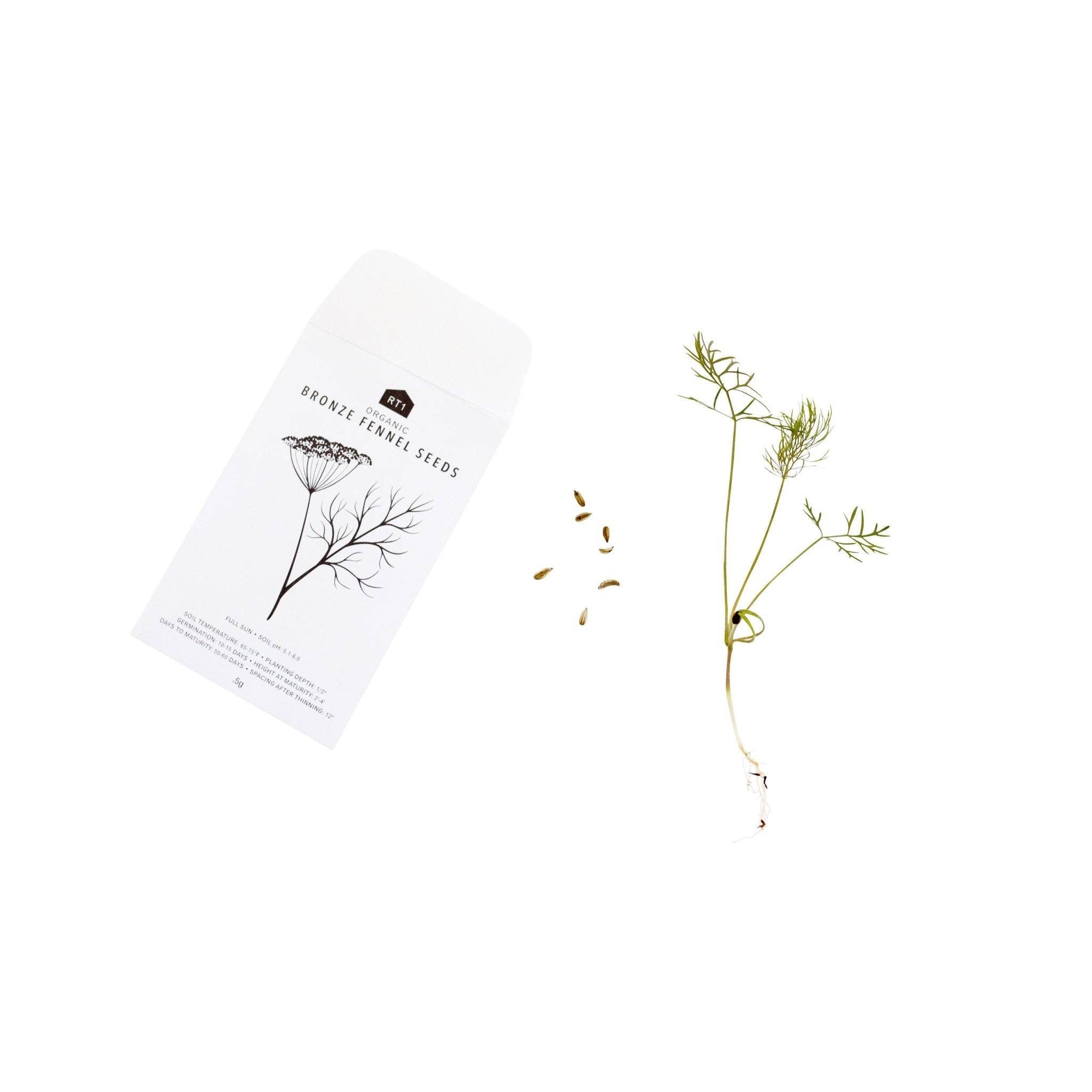 CULINARY HERB SEEDS II - PACK OF 5