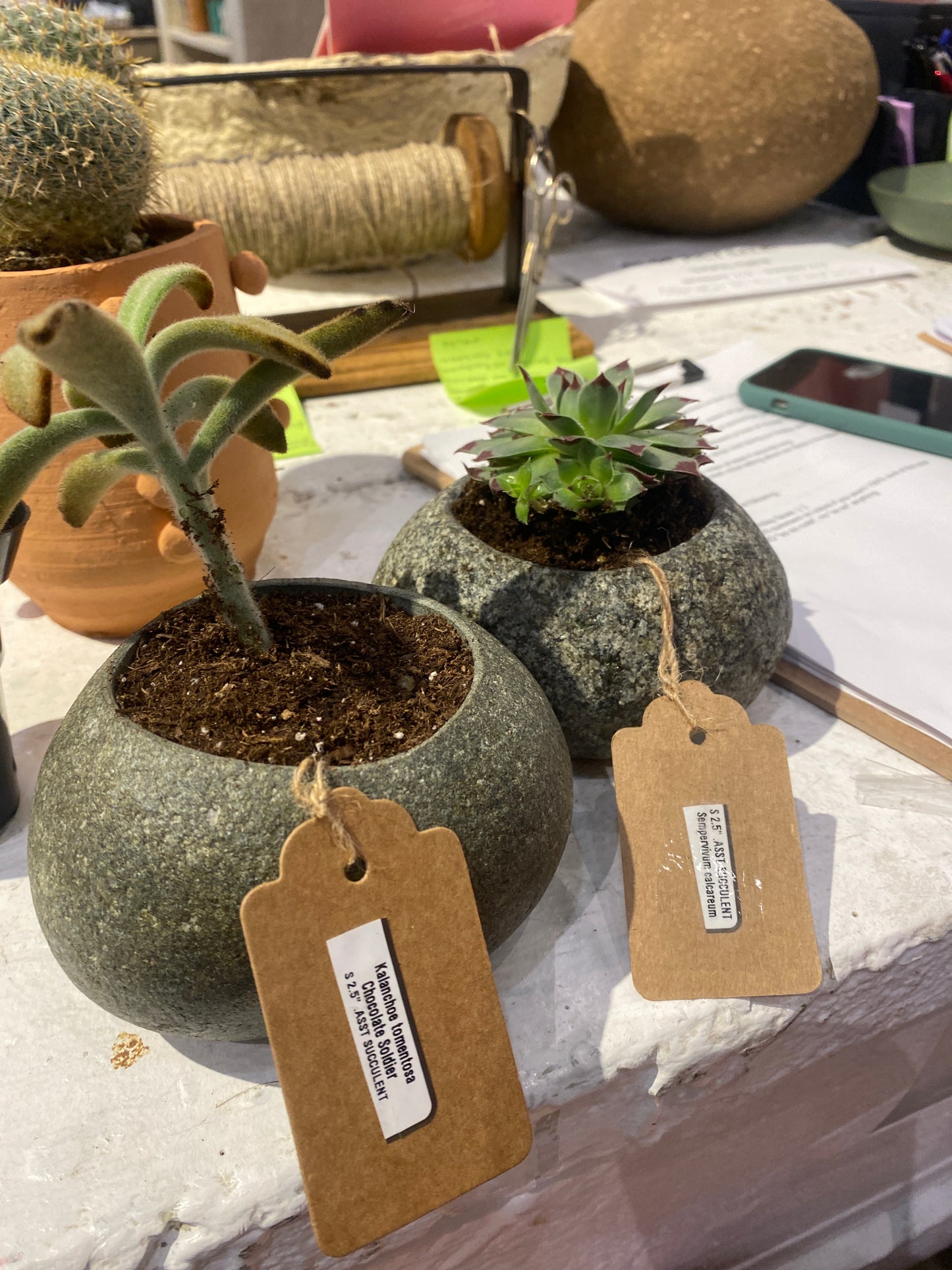 Speckled Stone Decor Bowl with cactus various