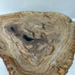 MINERALIZED & PETRIFIED WOOD TRAY