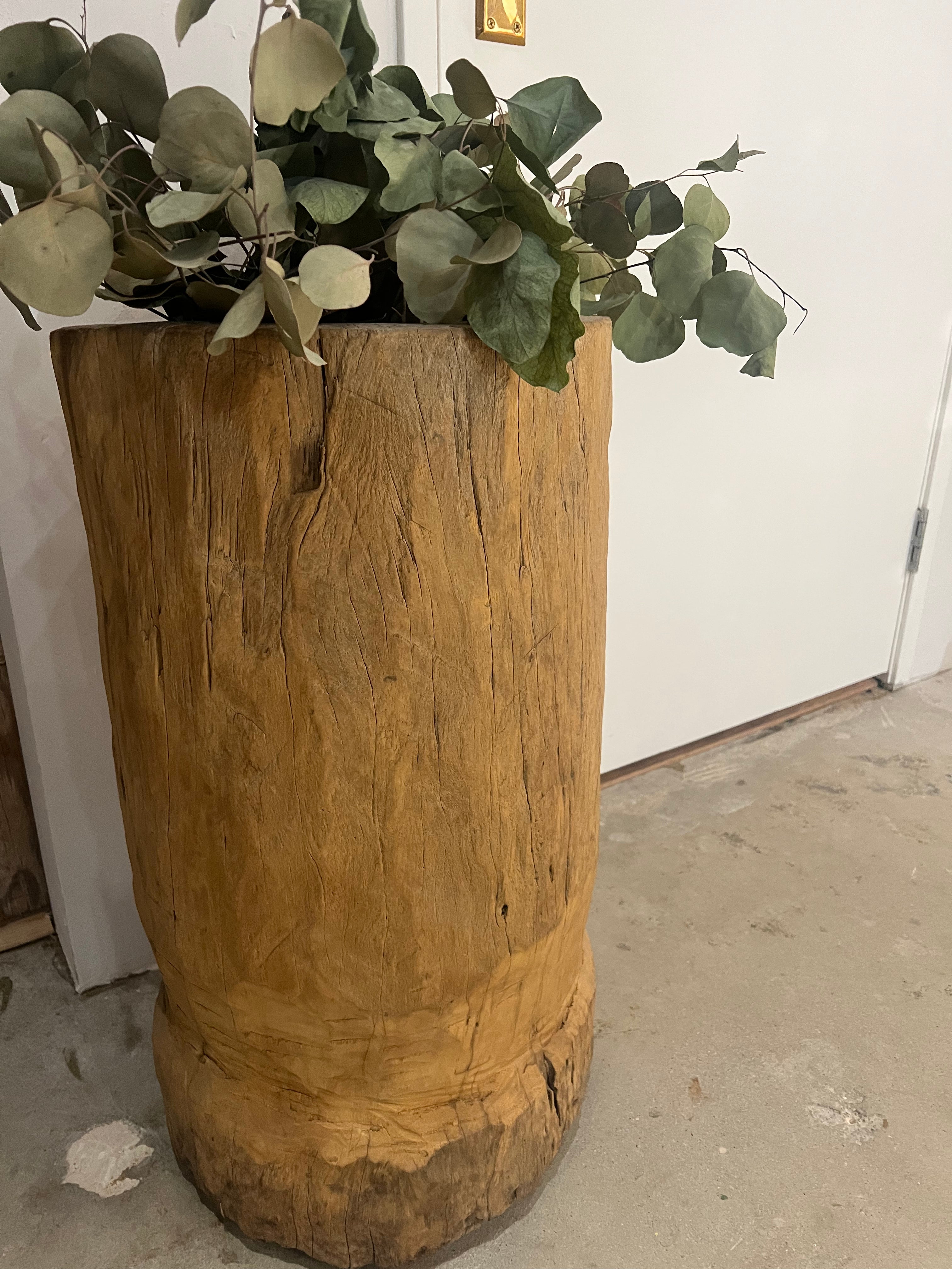 Wood vessel planter