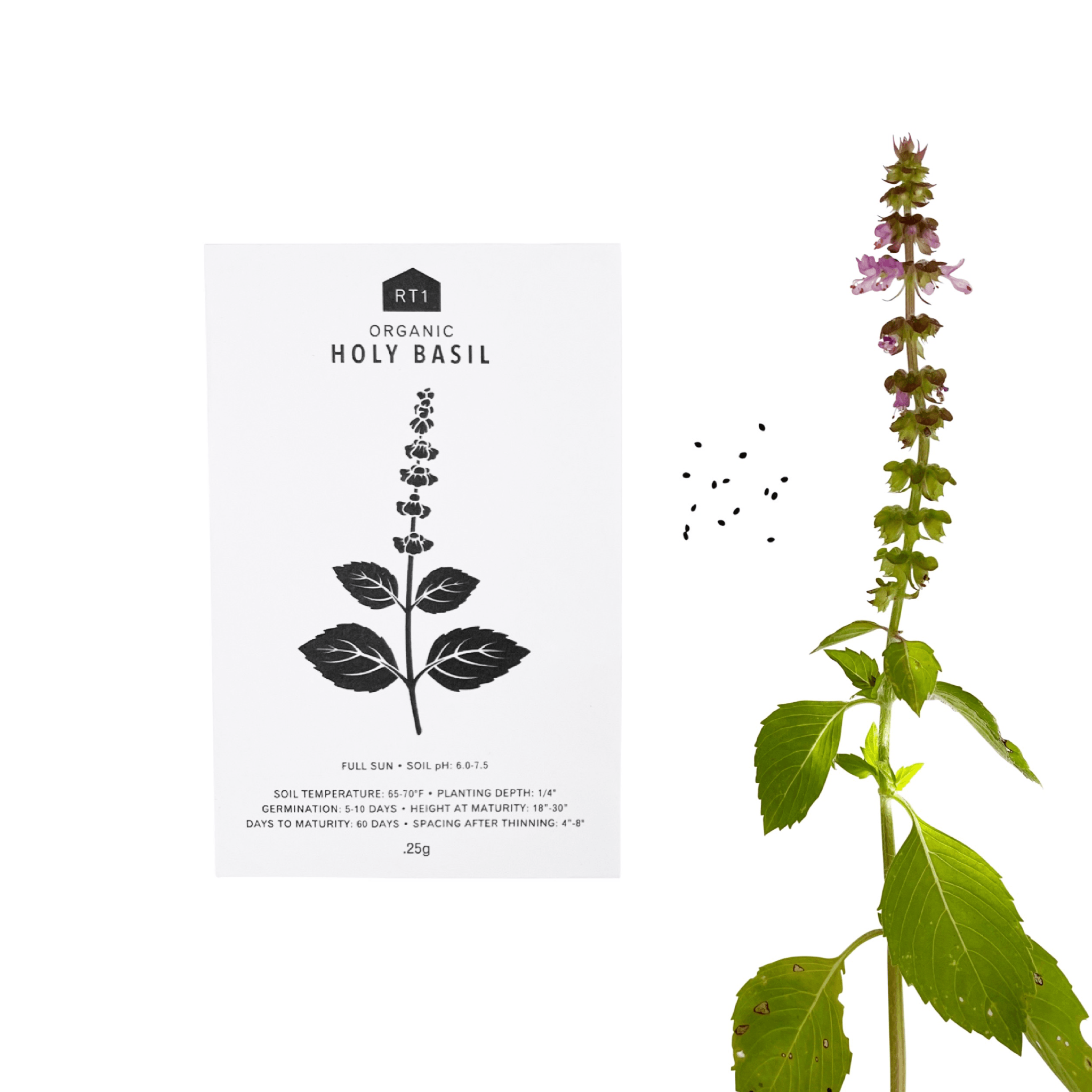 MEDICINAL HERB SEEDS - PACK OF 5
