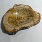 Petrified wood catchall