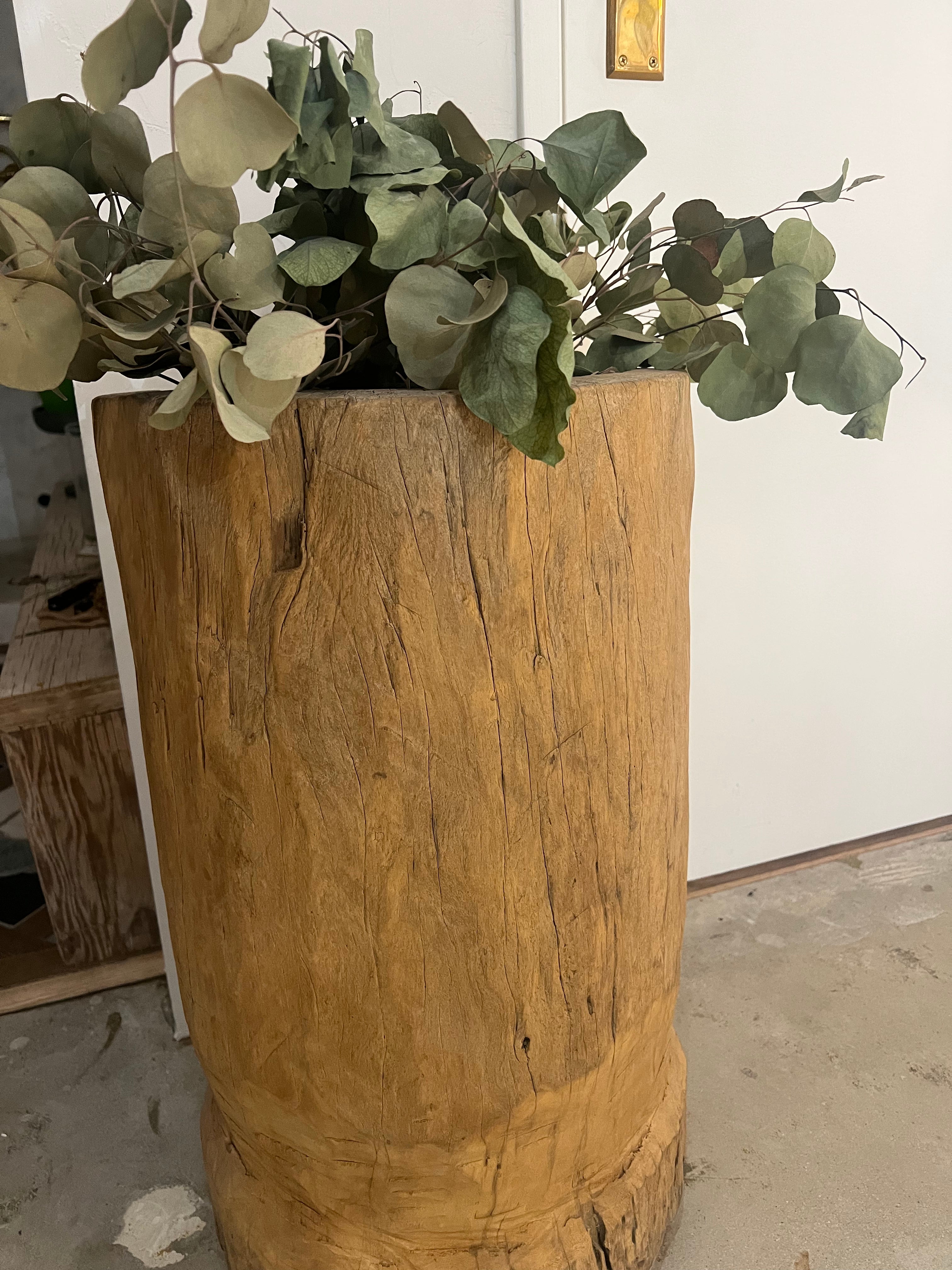 Wood vessel planter
