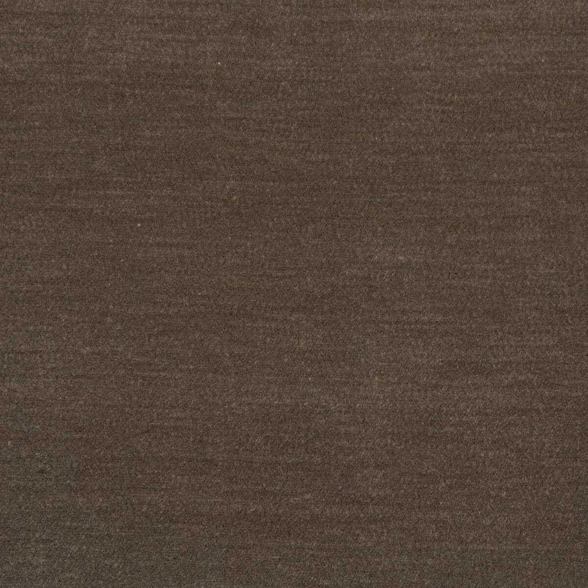Sedoni Chair Monte Olive
