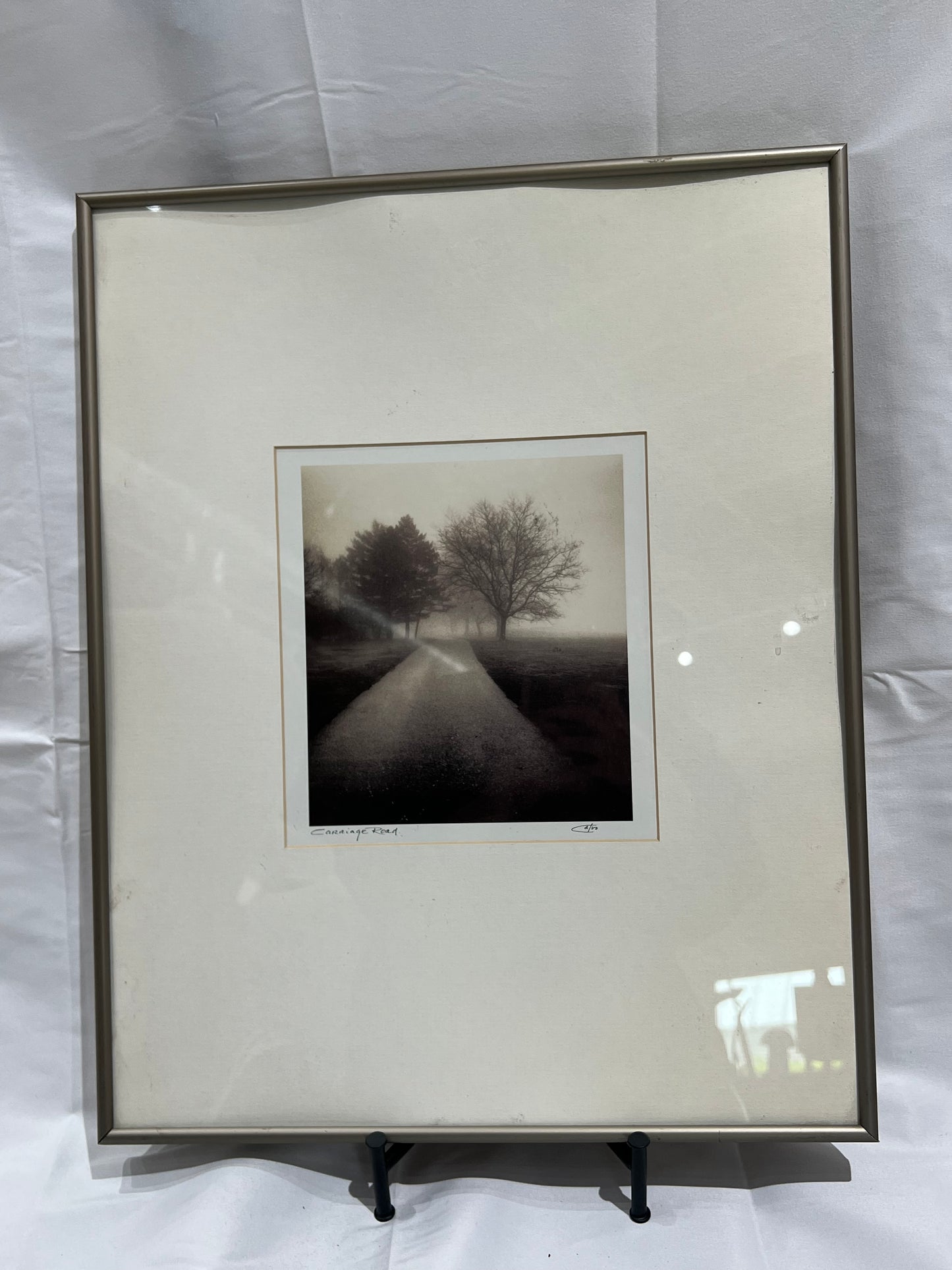 B&W tree art silver frame