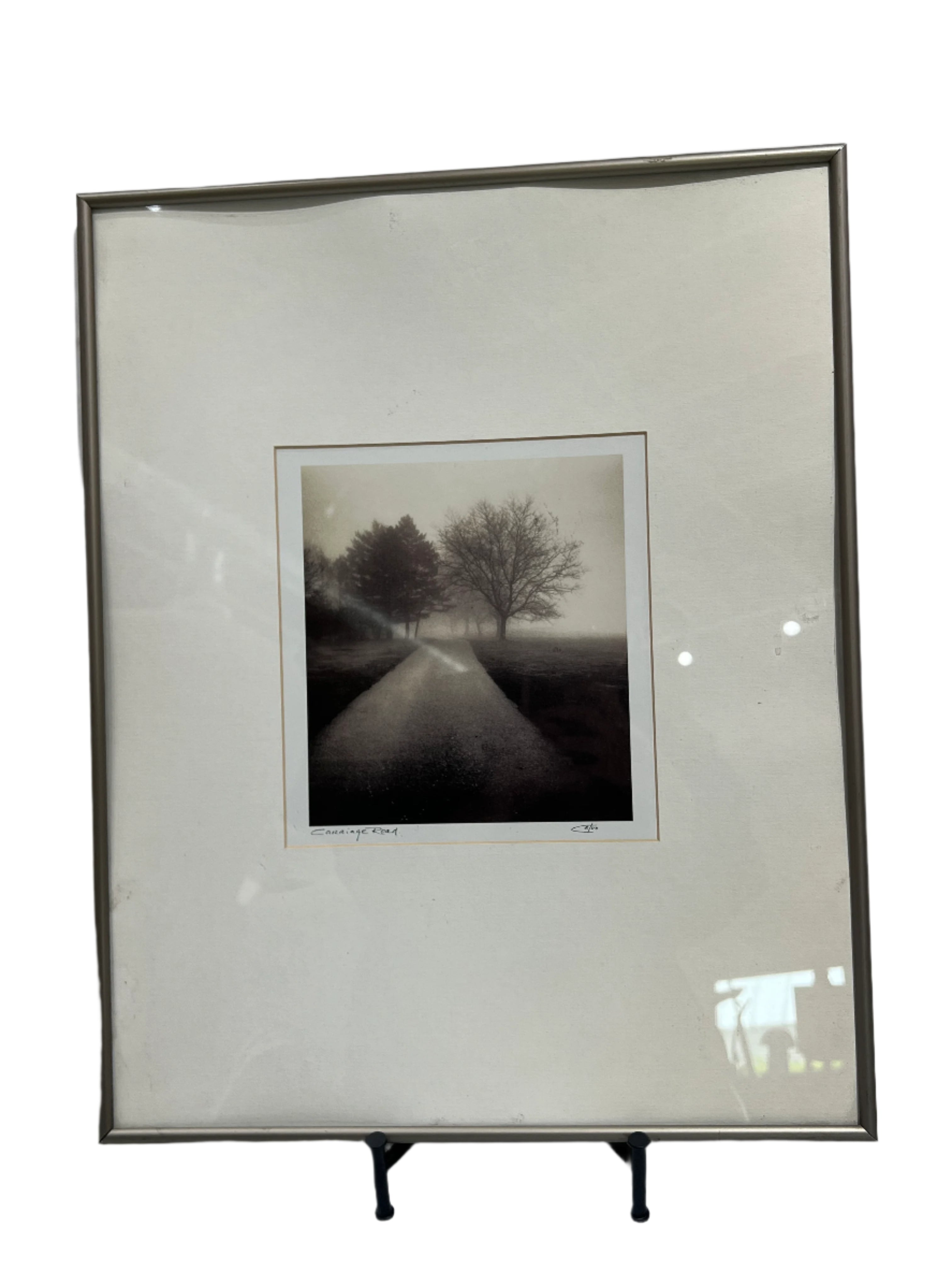 B&W tree art silver frame