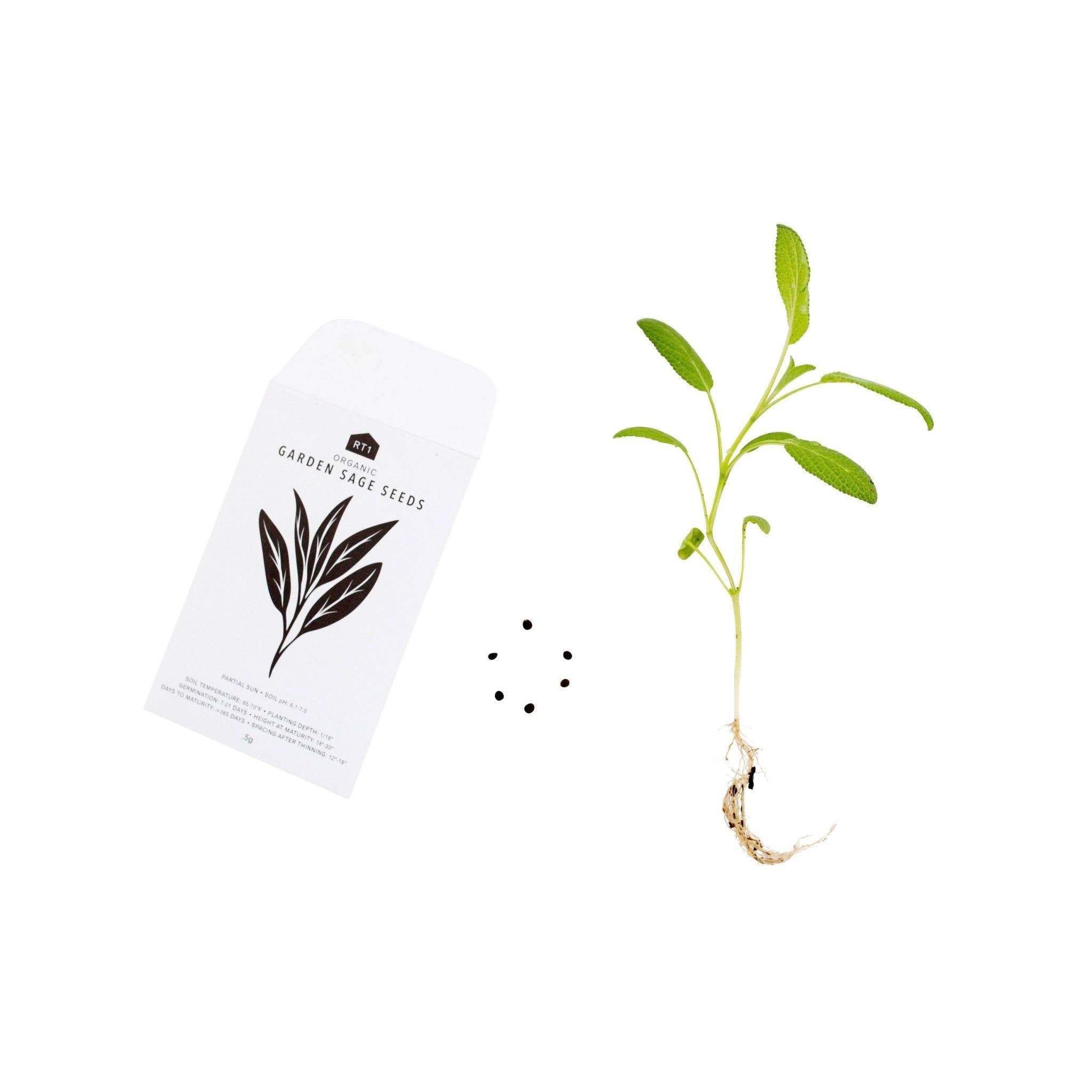 CULINARY HERB SEEDS II - PACK OF 5