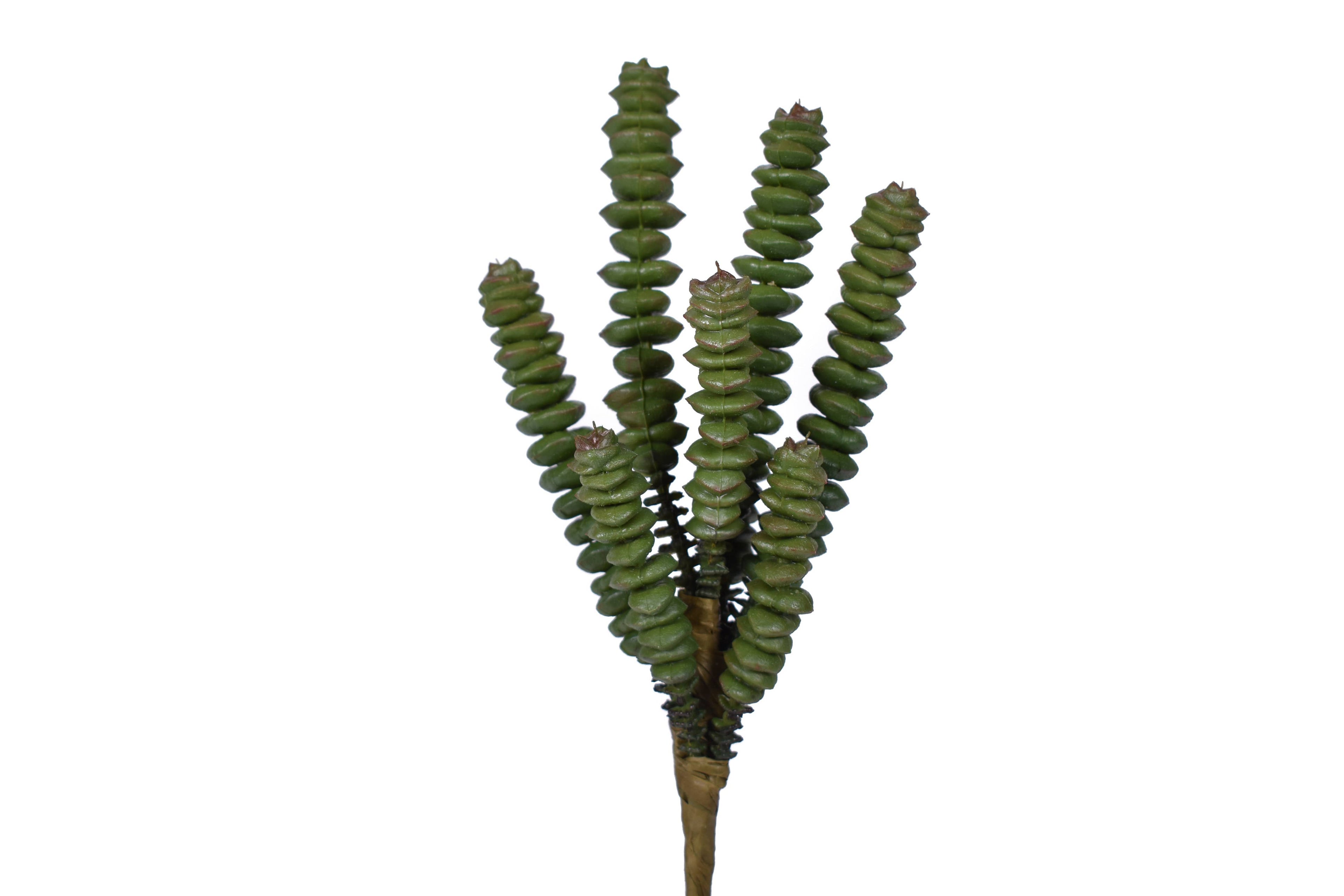 7.5" Uv Protected Succulent Pick SU1070UV