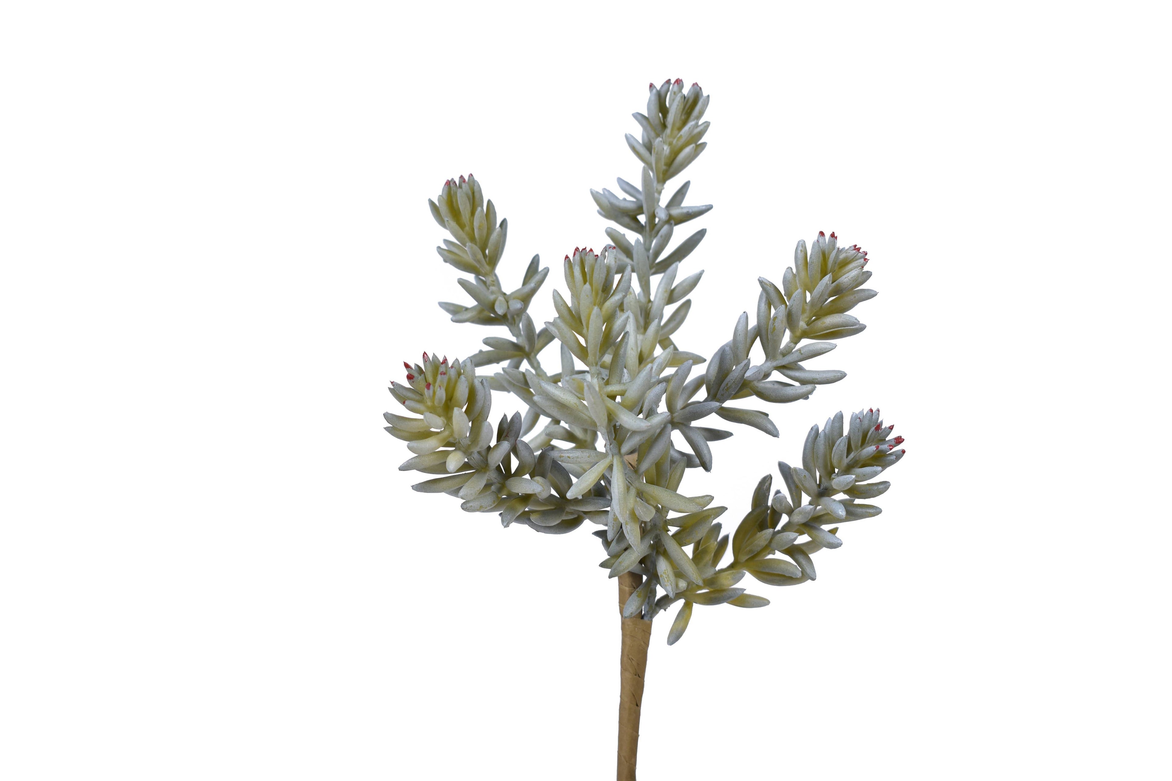 9.5" Sedum Pick- Uv Protected SE1033UV