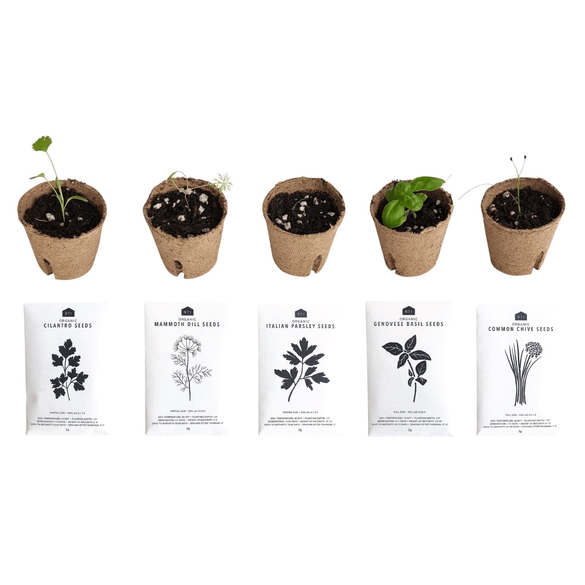 SEED STARTER POTS - SET OF 5