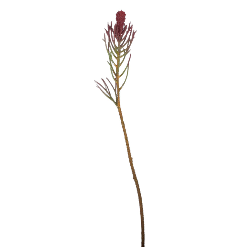 21" Thistle Stem-Uv Protected ST1174UV