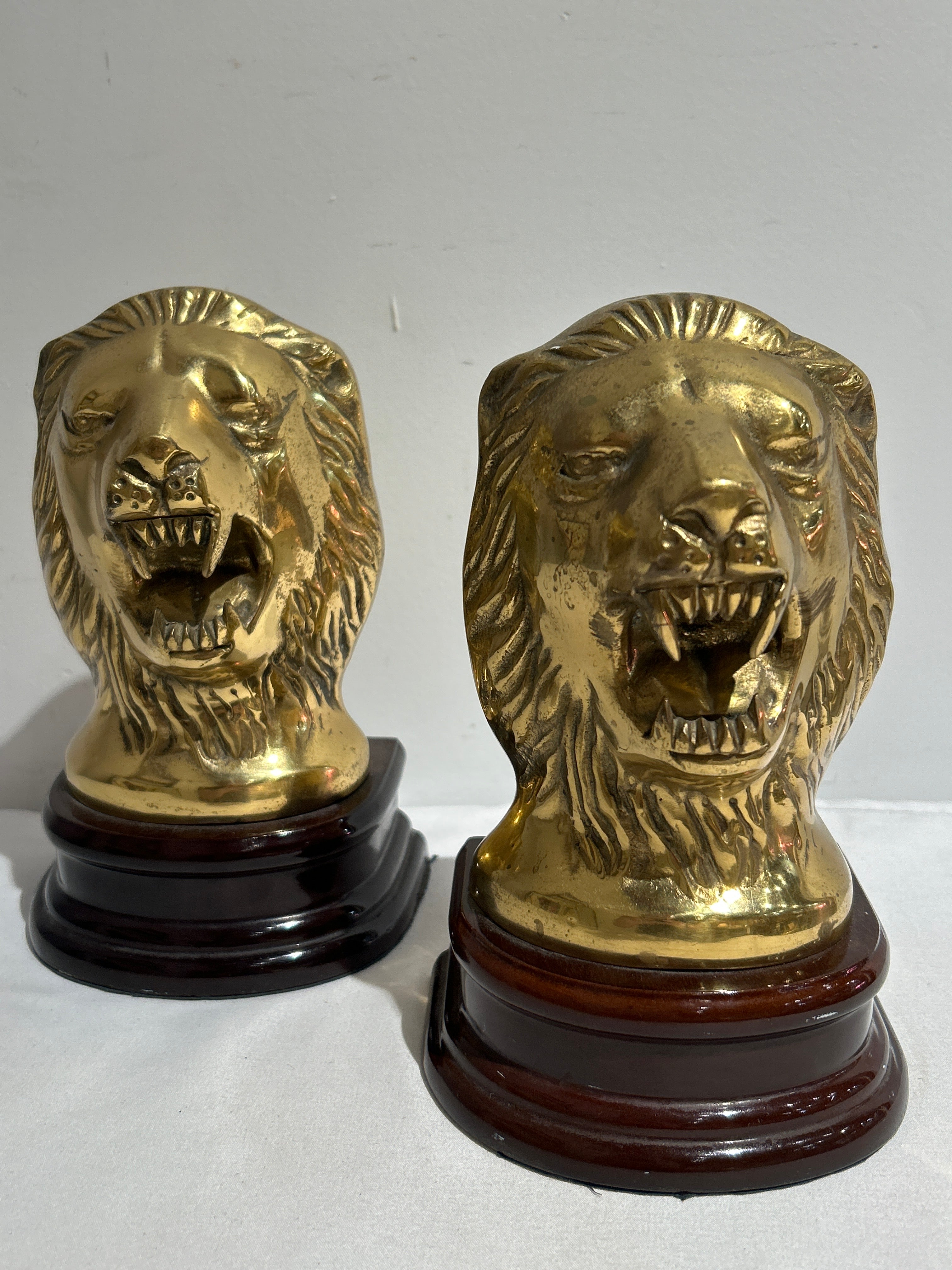 Pair of lion head bookends