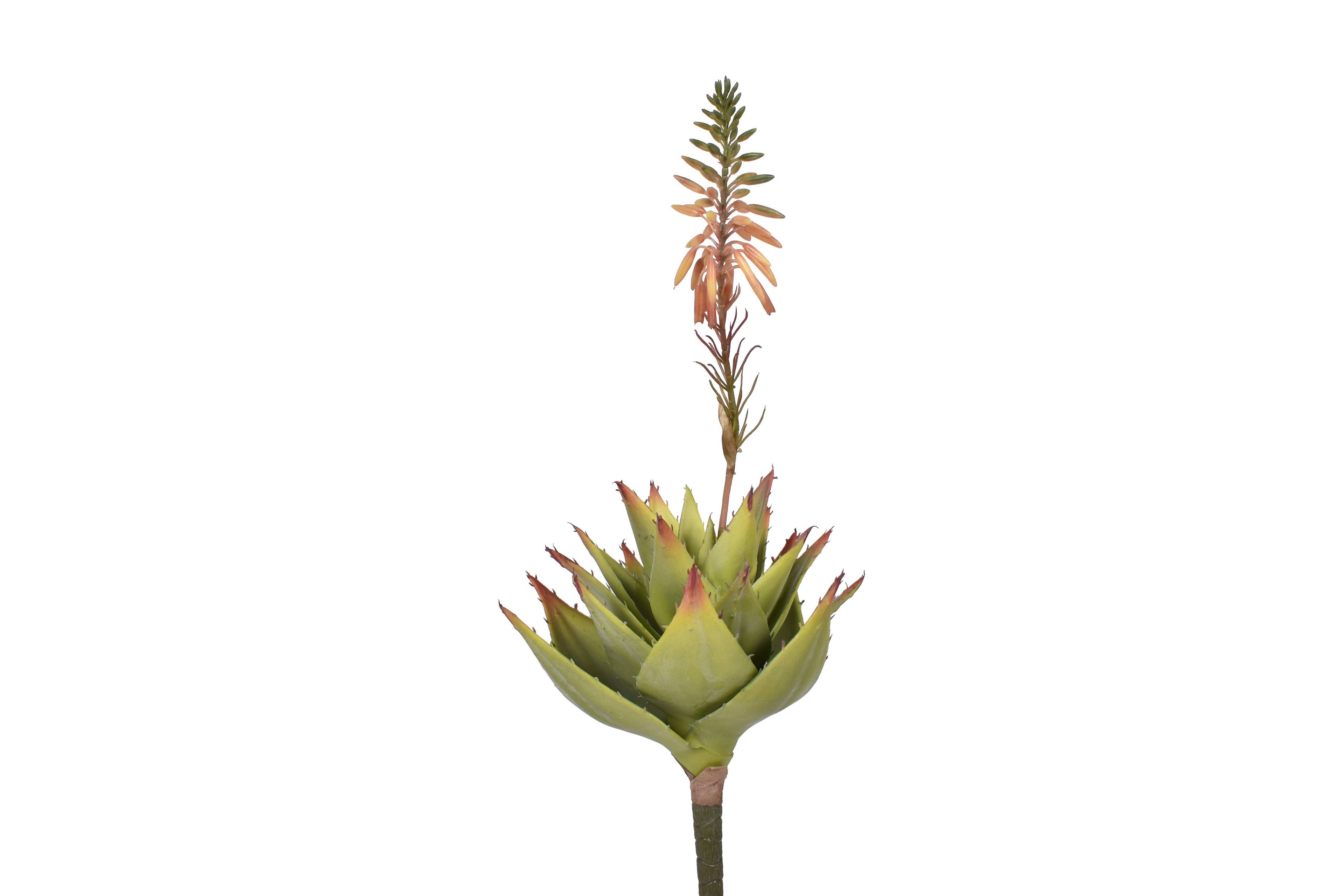 18" Aloe with Flower Pick- Uv Protected AV1035