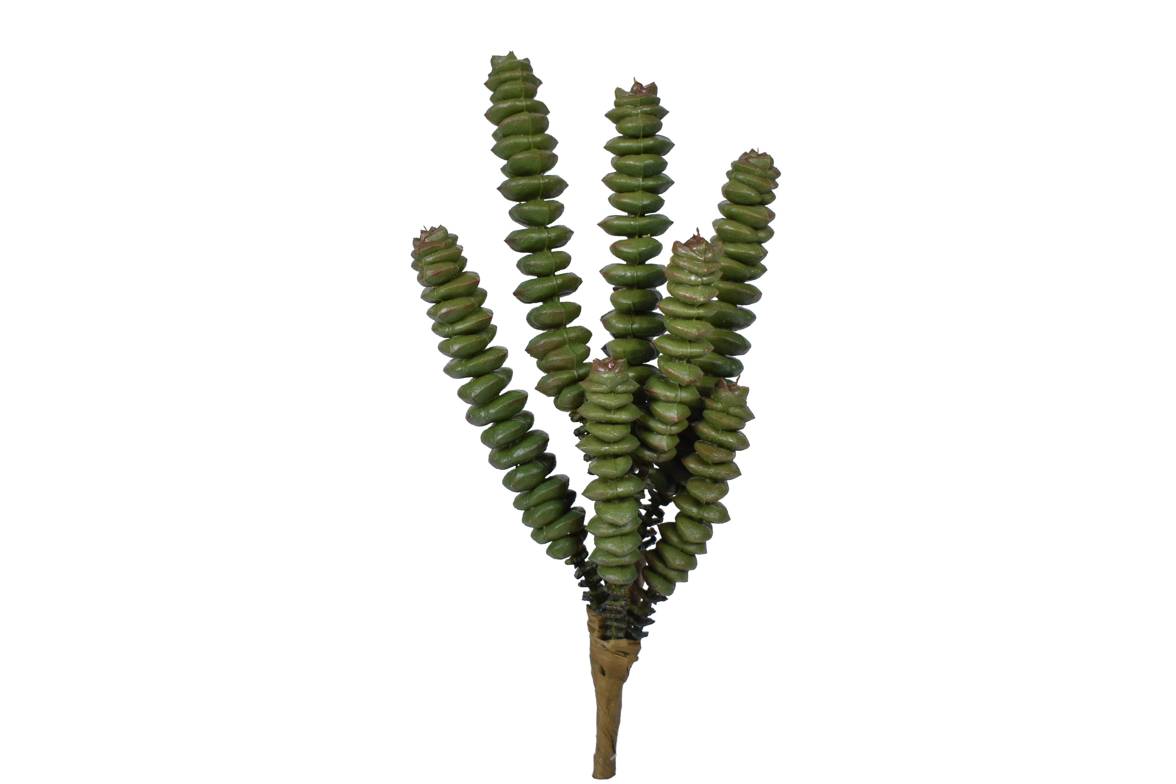 7.5" Uv Protected Succulent Pick SU1070UV