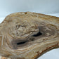 MINERALIZED & PETRIFIED WOOD TRAY