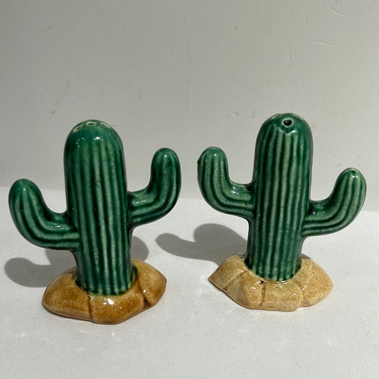 Cactus ceramic salt and pepper shakers