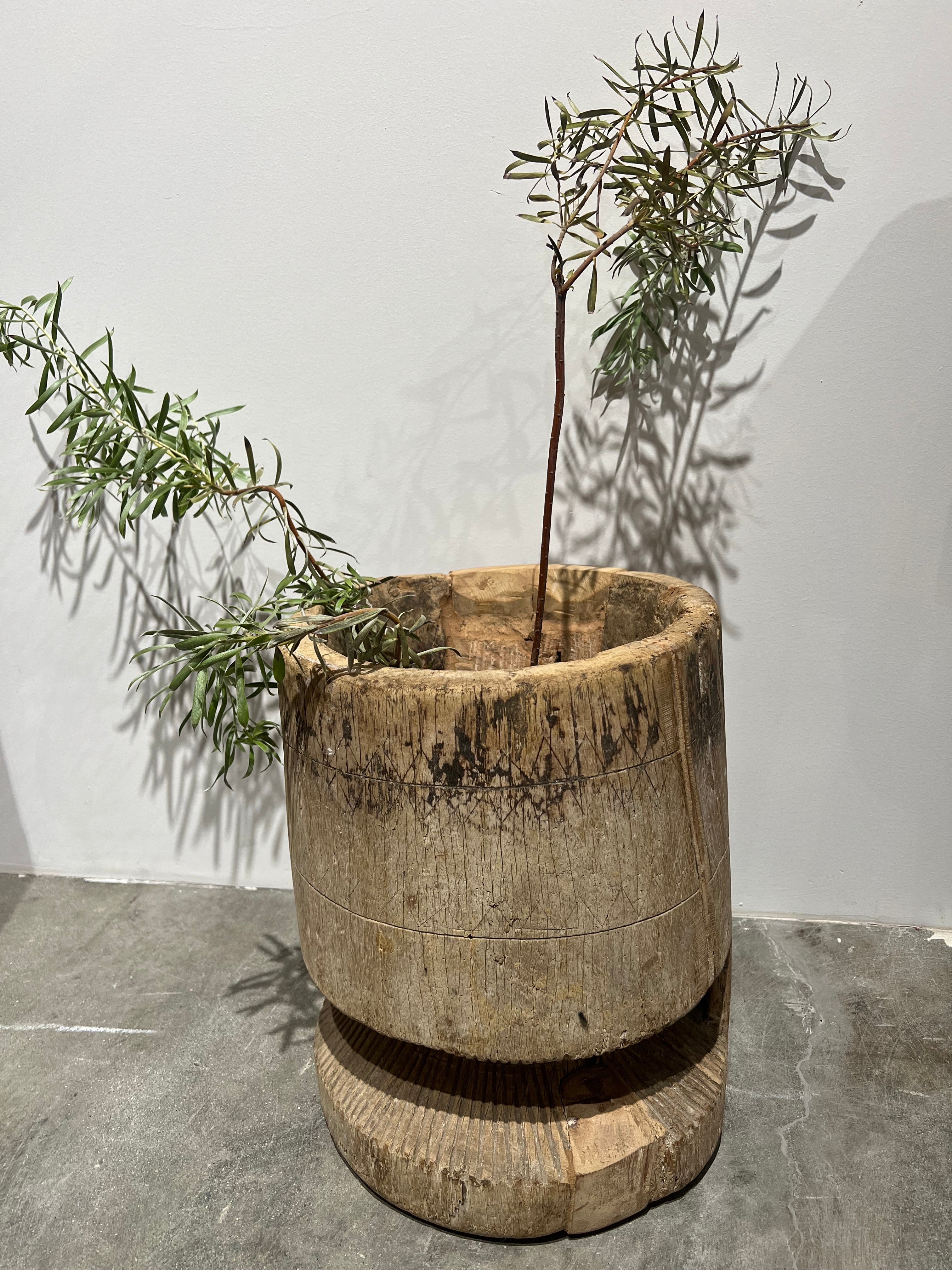 Wood vessel planter