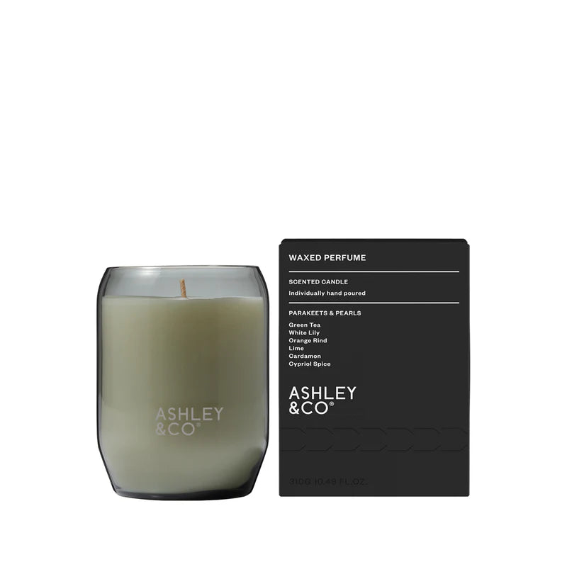Waxed Perfume Parakeets & Pearls Candle