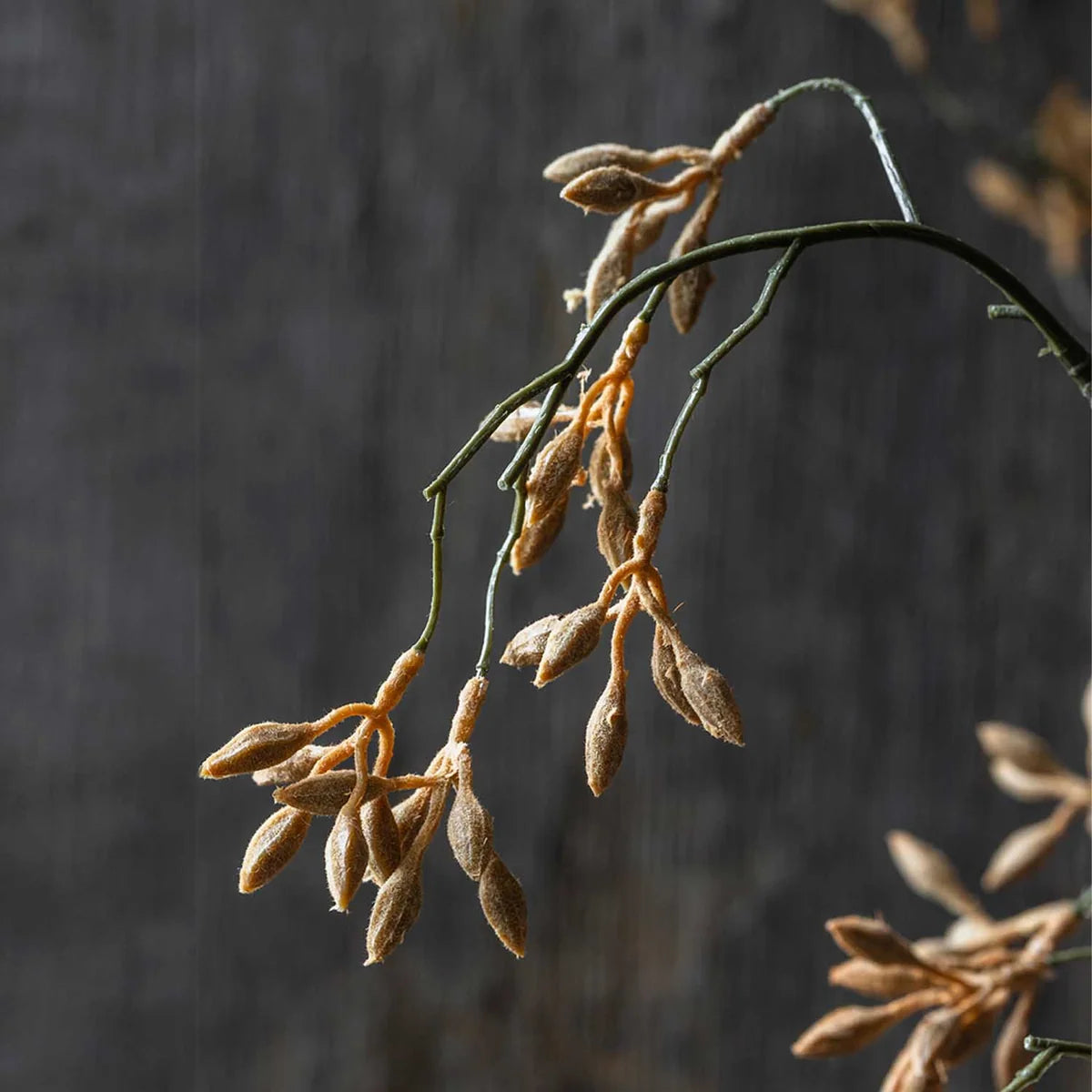 Artificial Kangaroo Paw