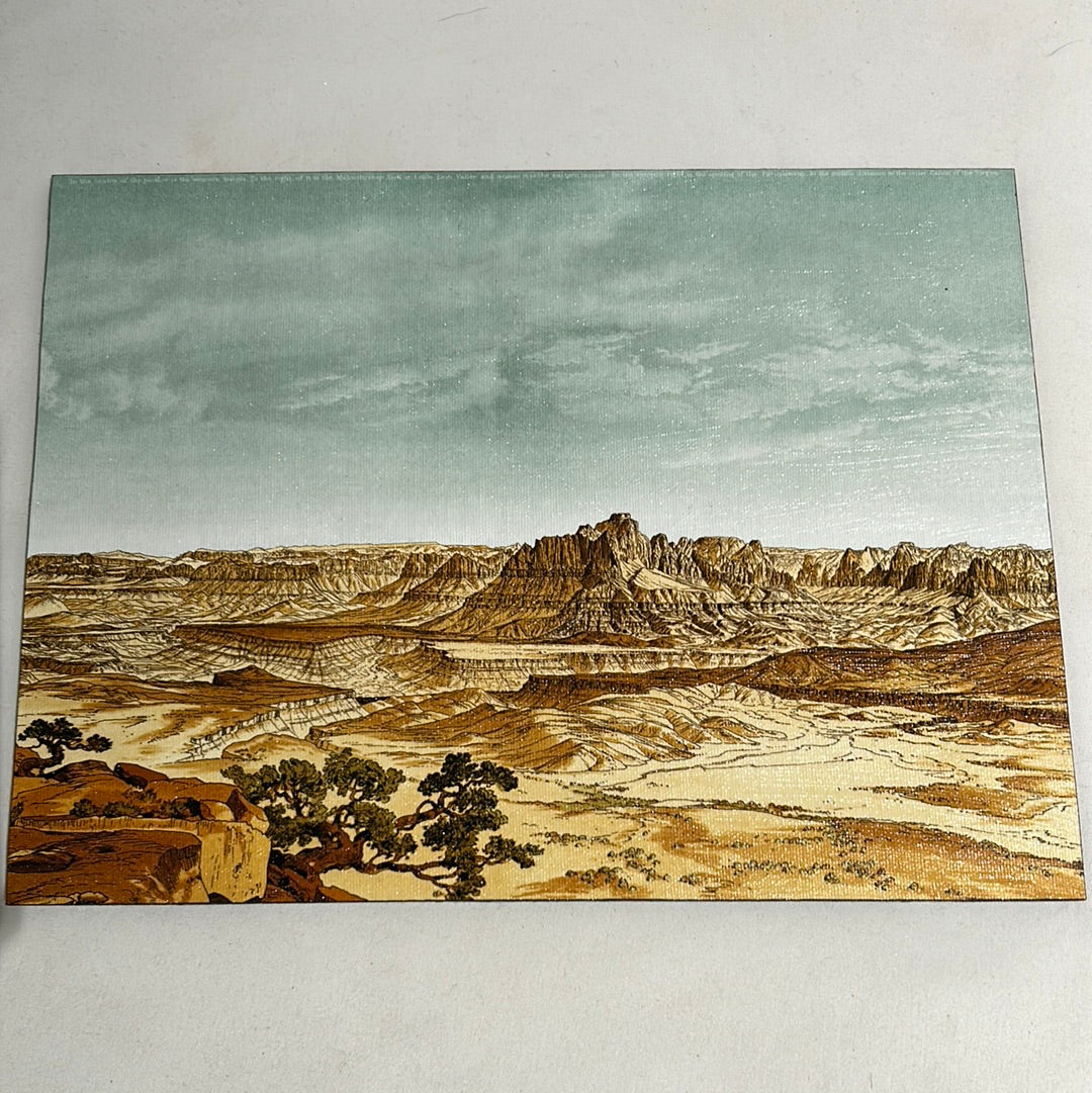 Desert landscape artist board