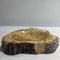 Petrified wood catchall