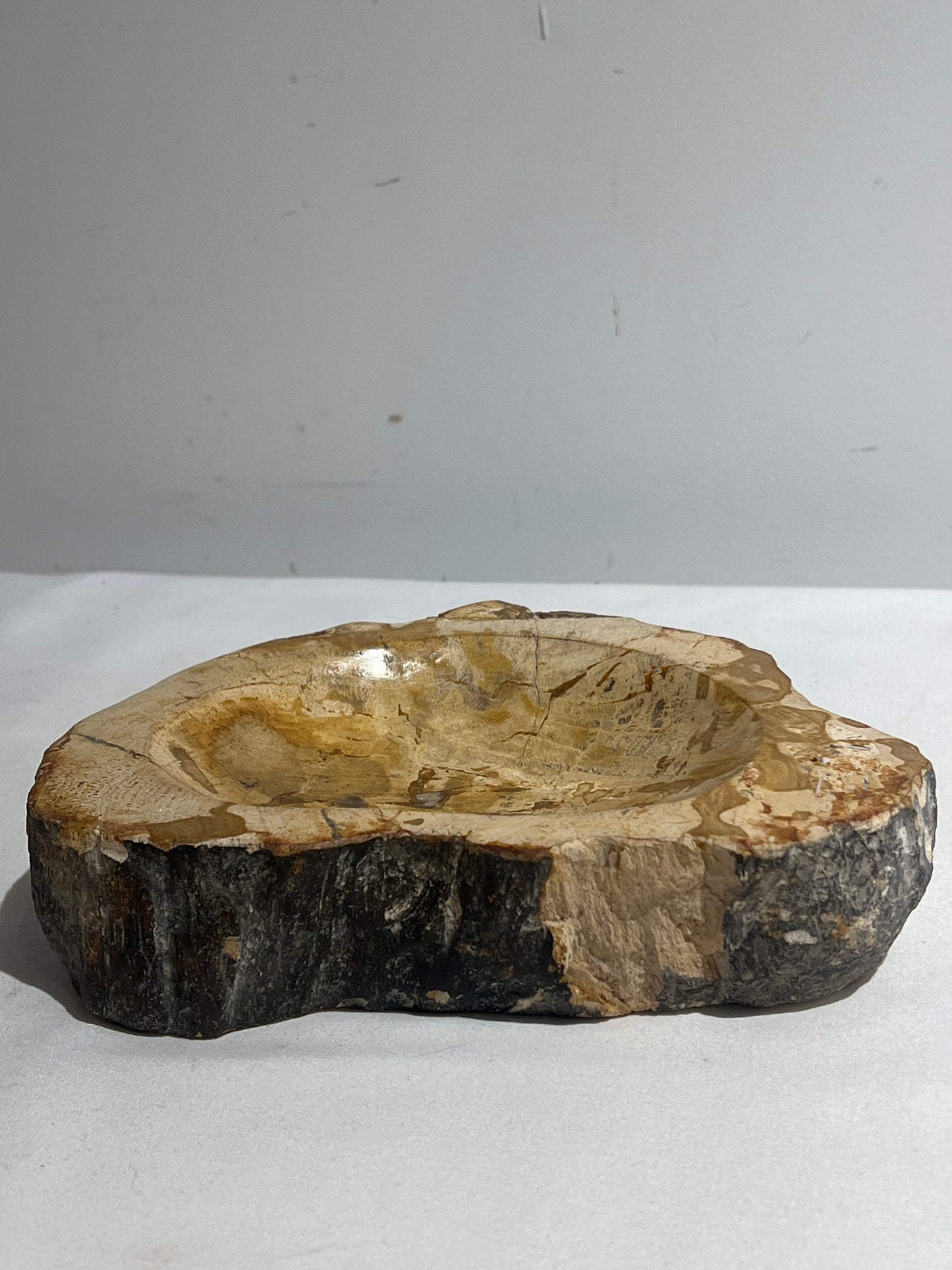 Petrified wood catchall