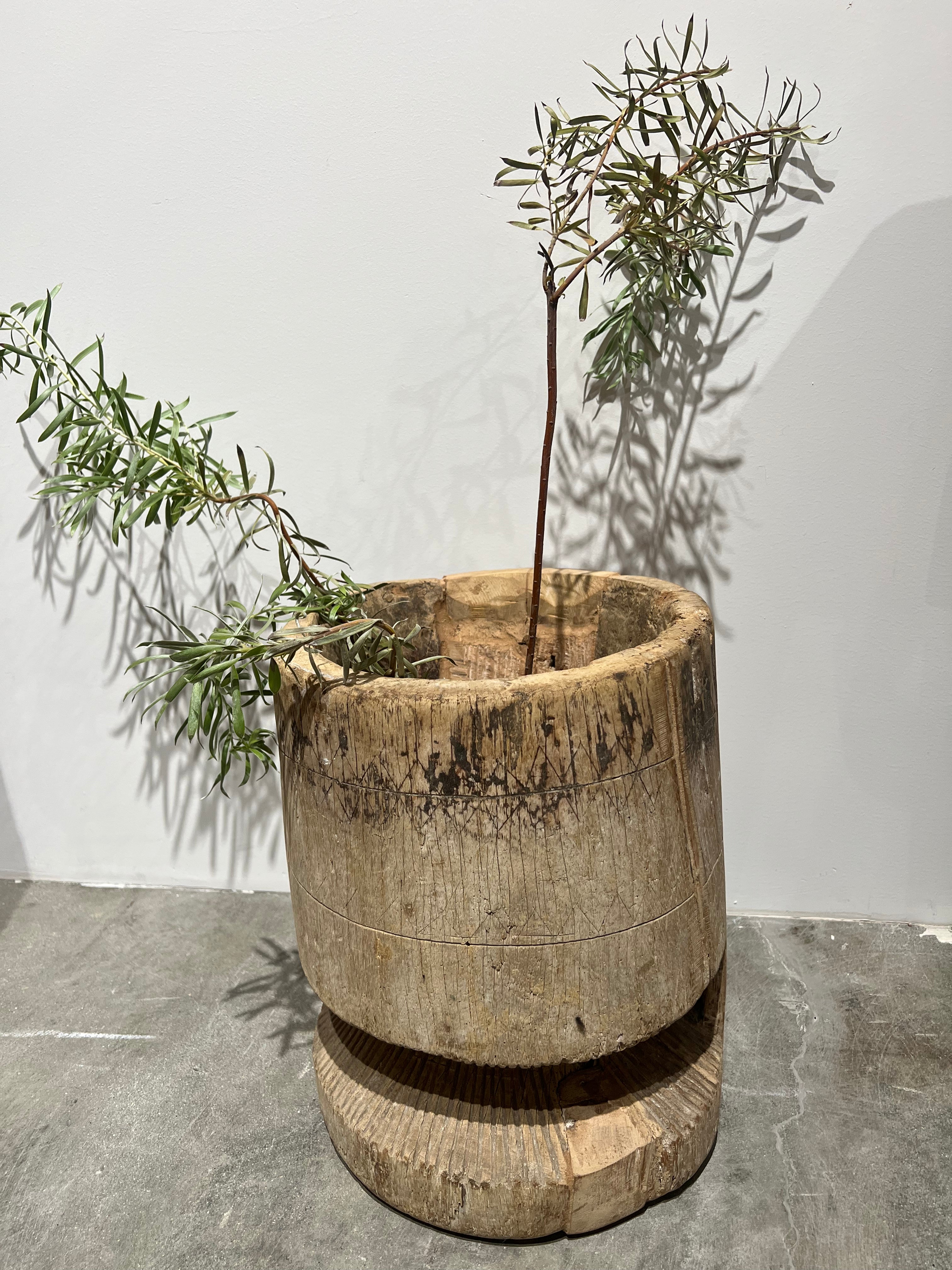 Wood vessel planter