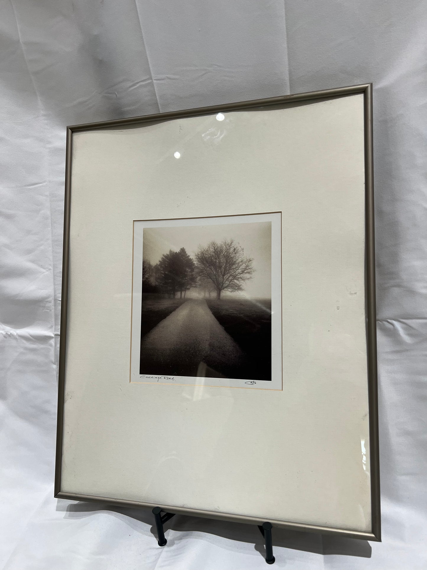 B&W tree art silver frame