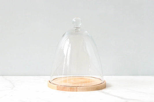 Glass Dome with Wood Base, Tall