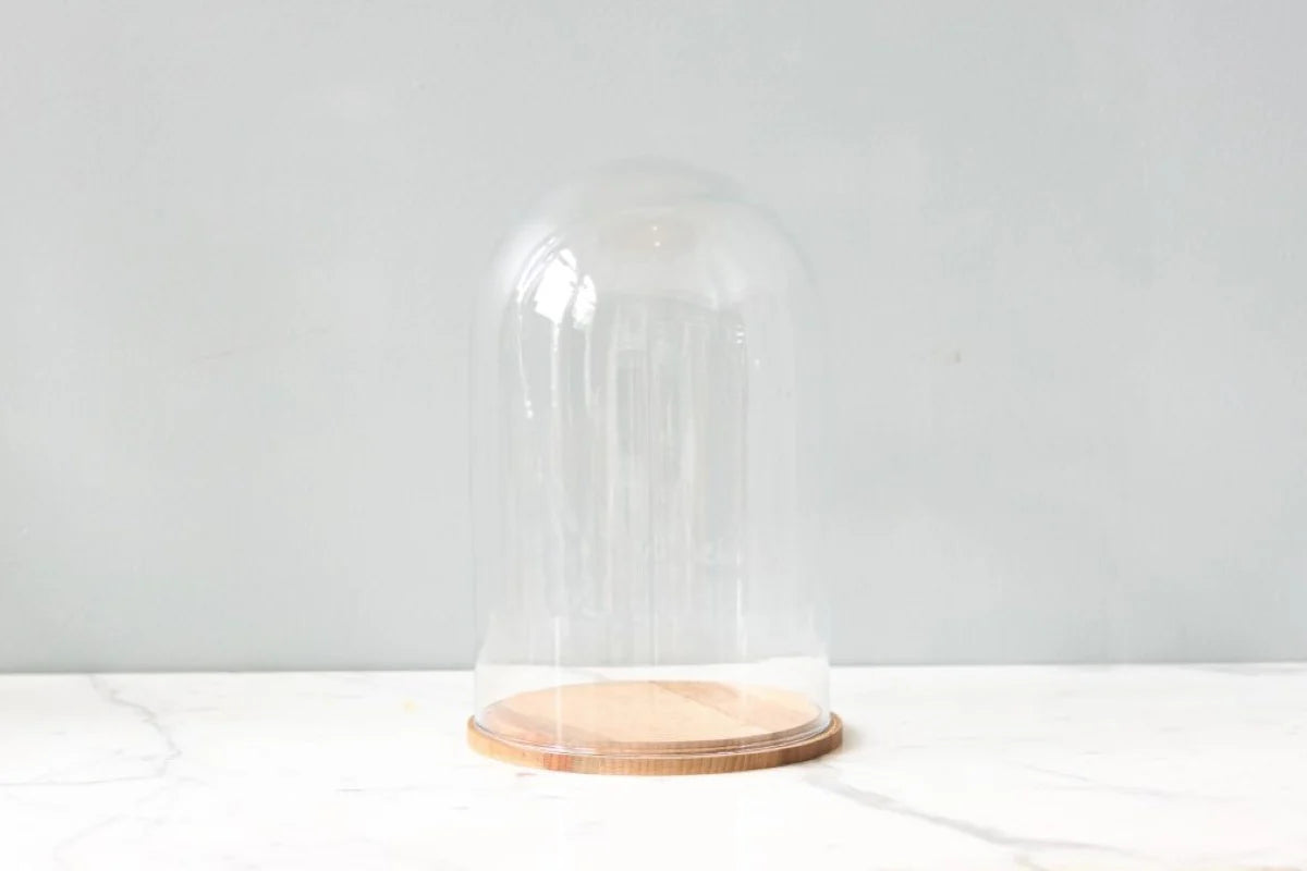 Glass Bell Jar with Wood Base, Tall