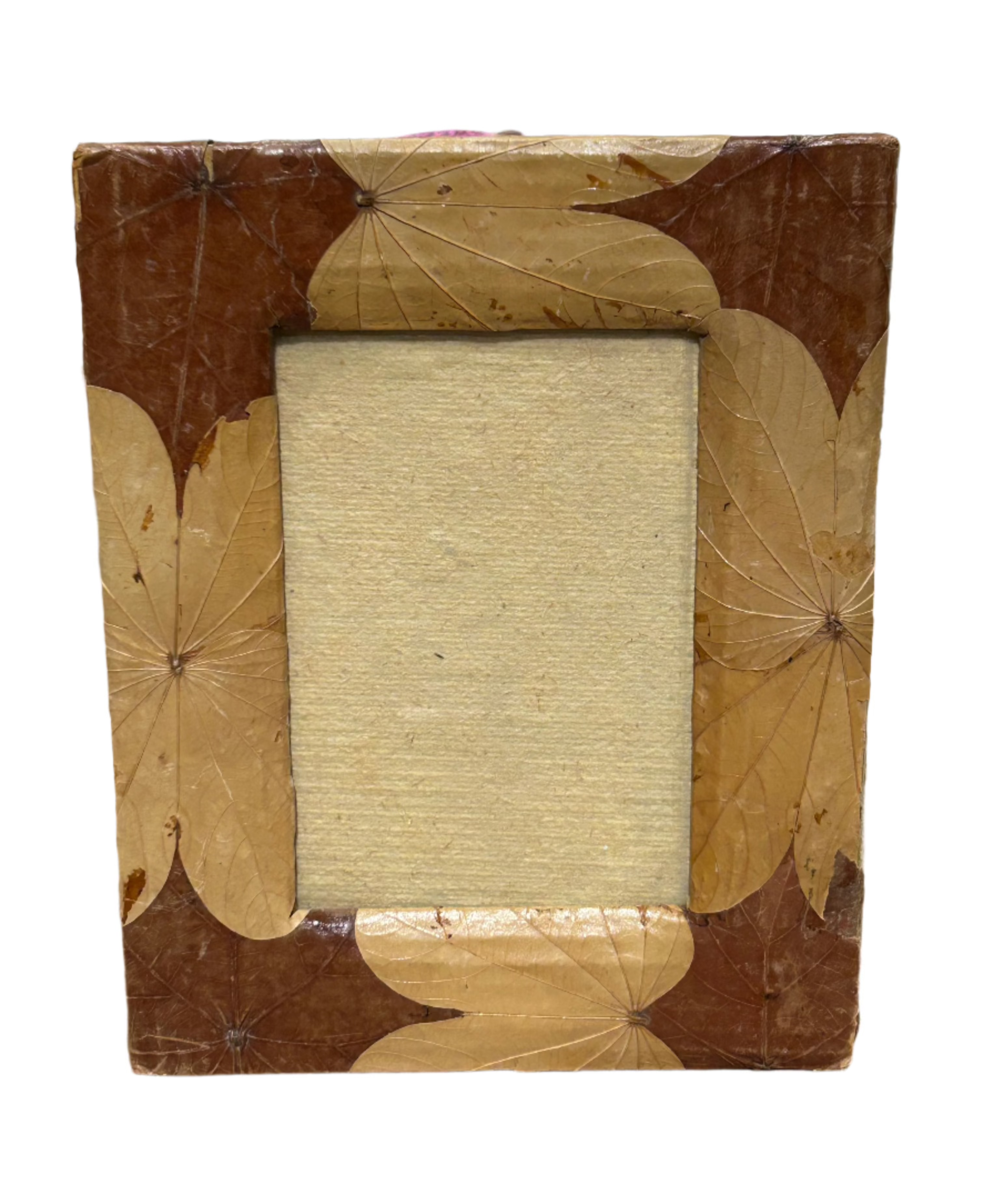 Vintage dried leaf frame