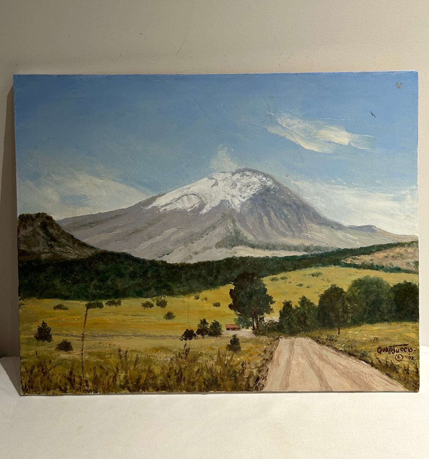 Signed oil painting of mountain