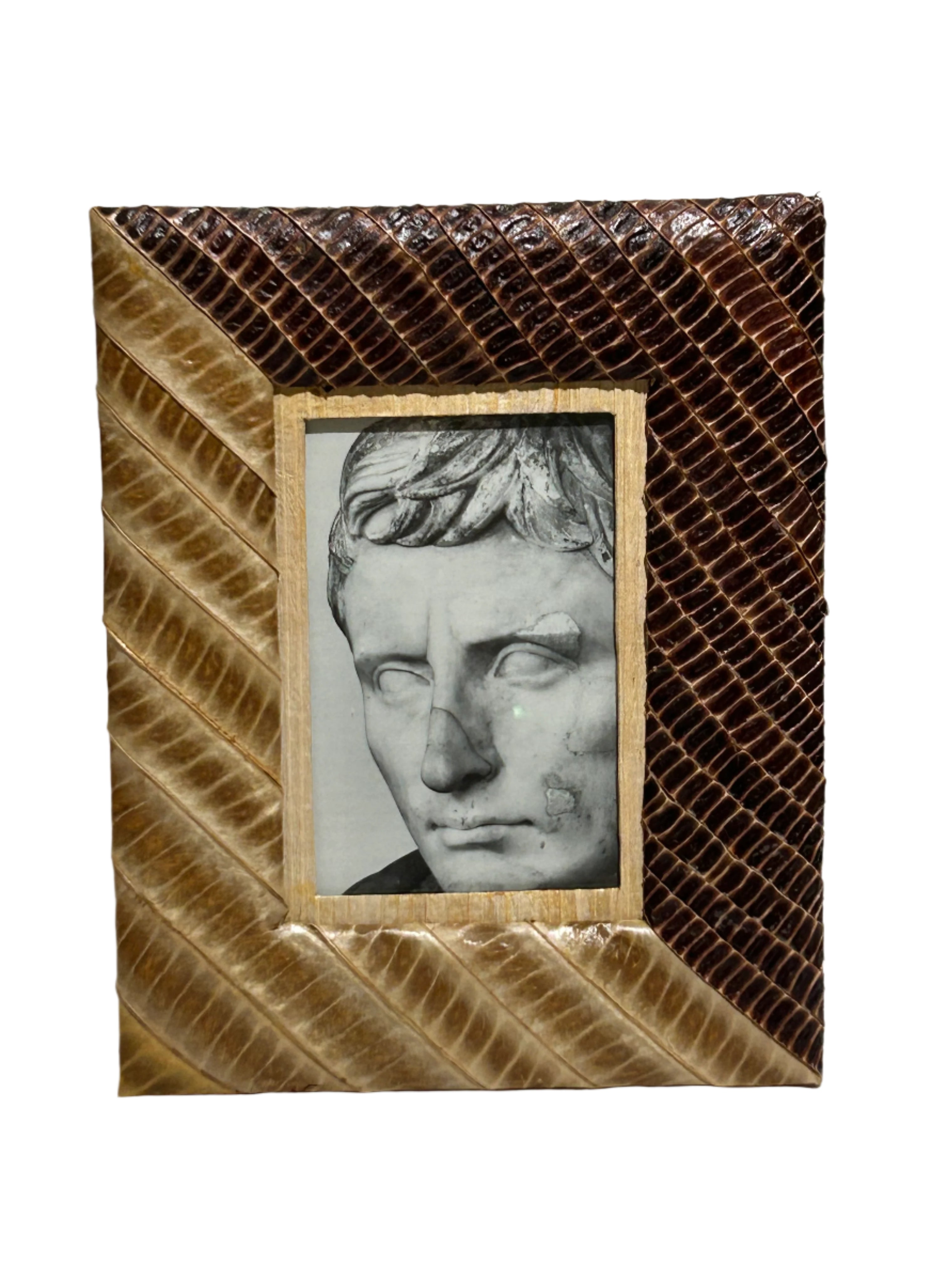Vintage snake skin picture frame