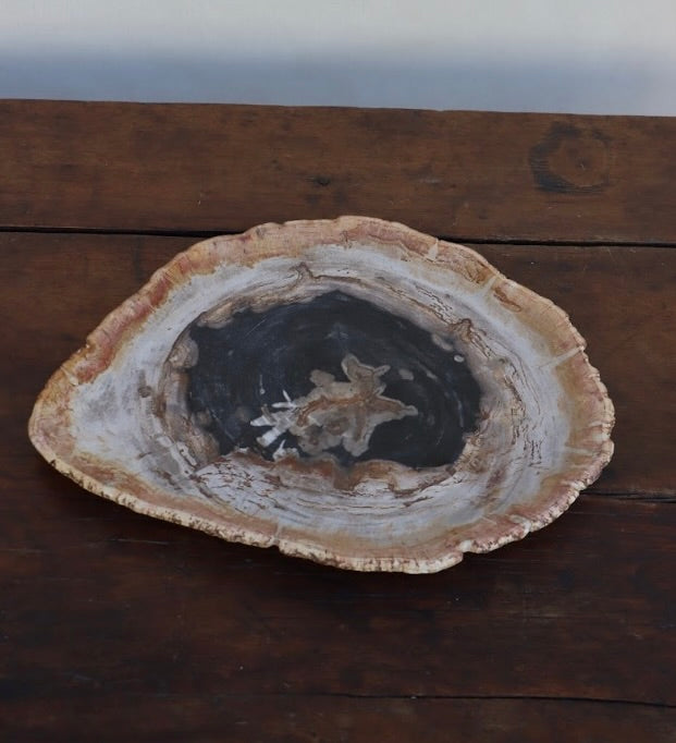 MINERALIZED & PETRIFIED WOOD TRAY