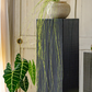 Artificial Rough Horsetail Thin Vine Ikebana