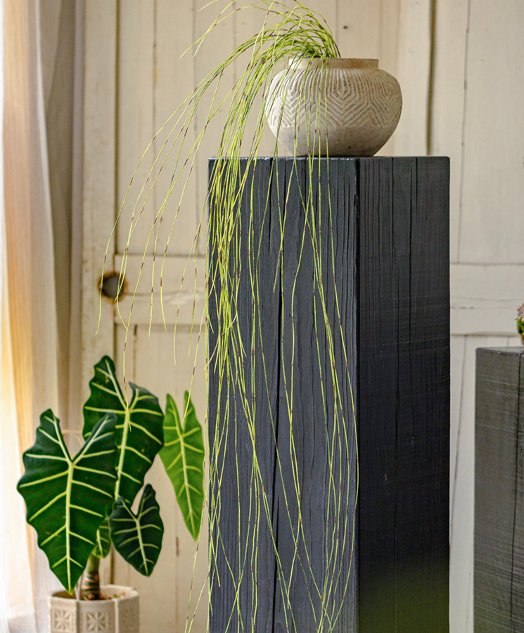 Artificial Rough Horsetail Thin Vine Ikebana