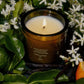 Night Blooming Jasmine & Damask Rose Candle 8oz