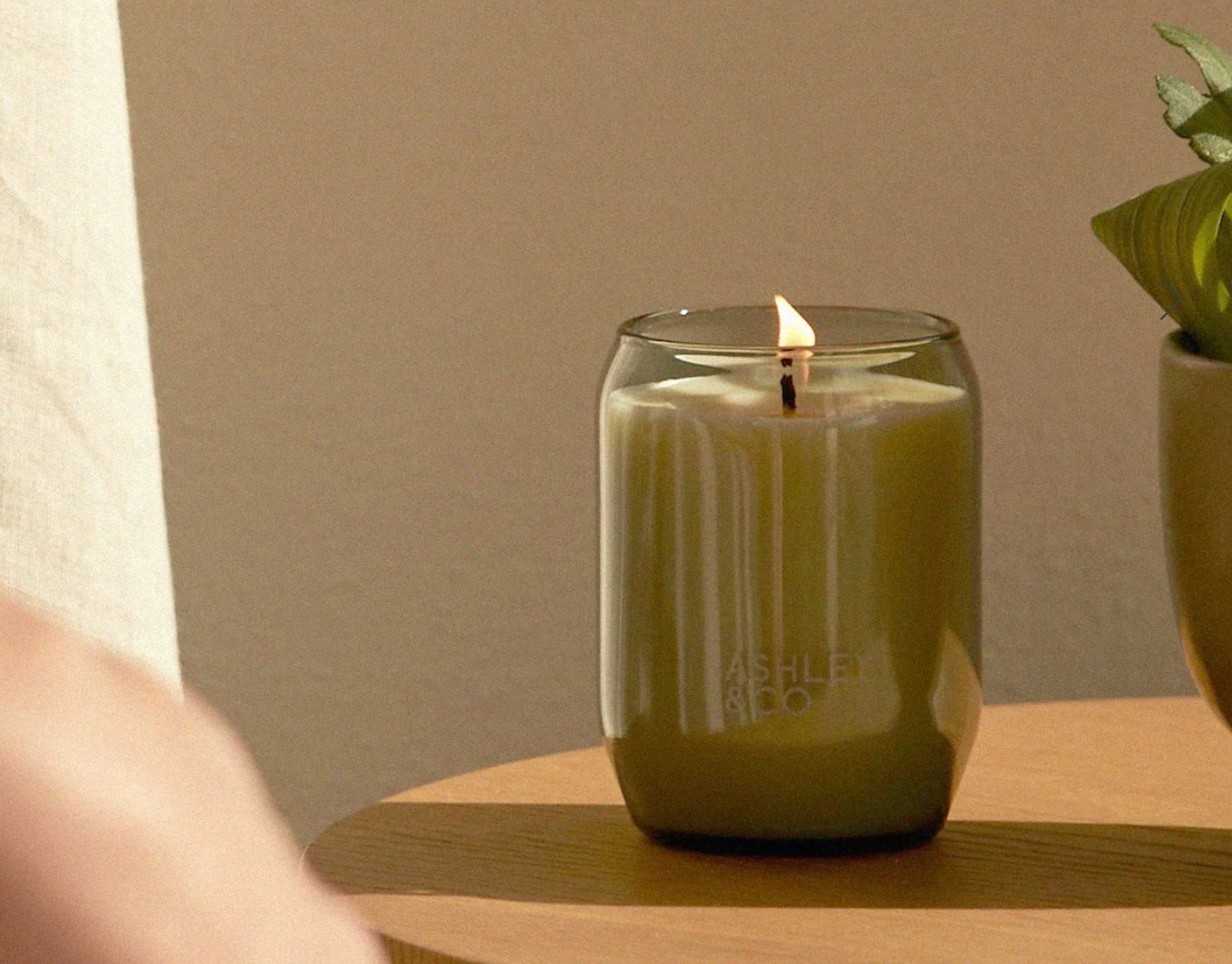 Waxed Perfume Parakeets & Pearls Candle