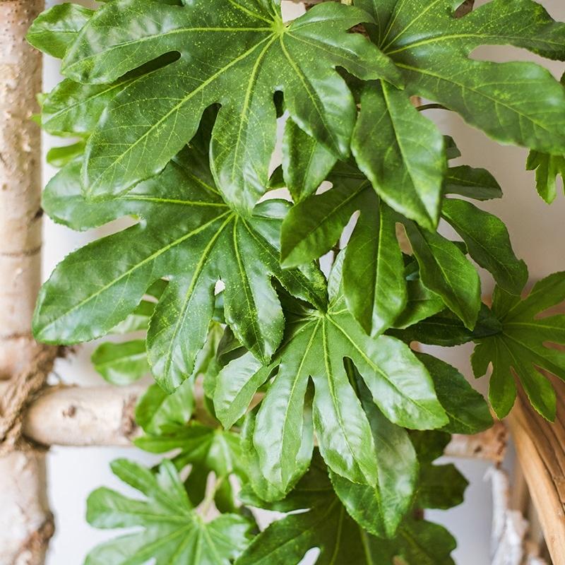 Artificial Plant Fatsia Leaf Vines 32" Long