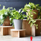 Plant Pot Stand Bamboo