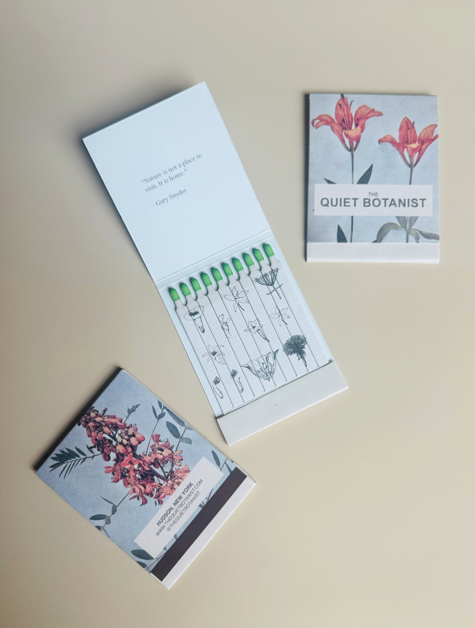 Day Lily - Botanical Matches - Limited Edition