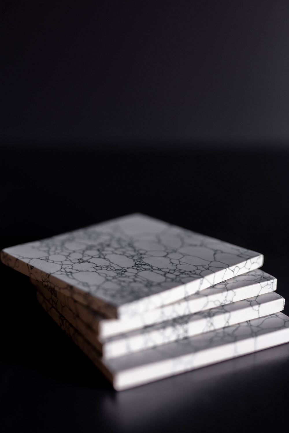 Stone Coasters (set of 4)