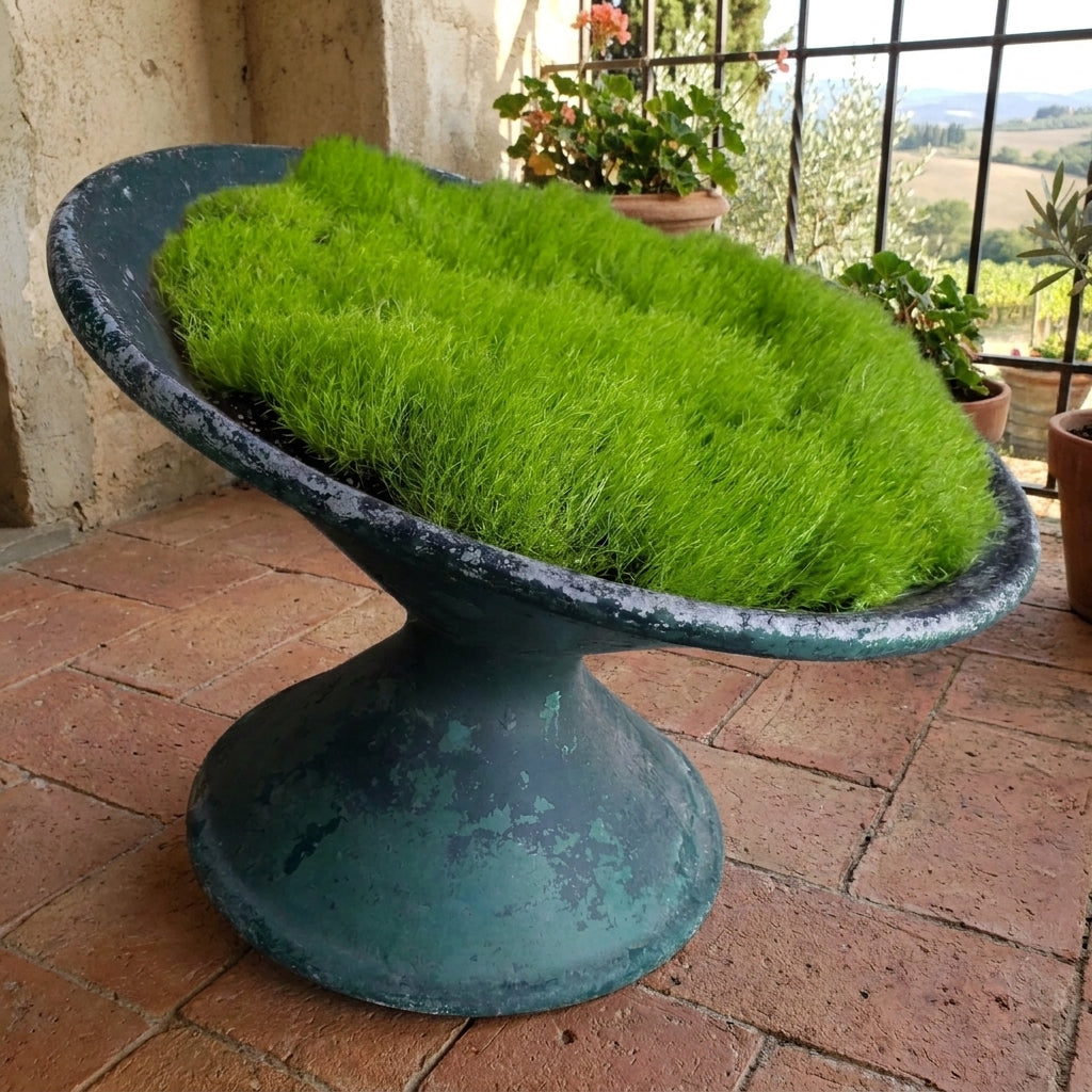 Green Willy Guhl