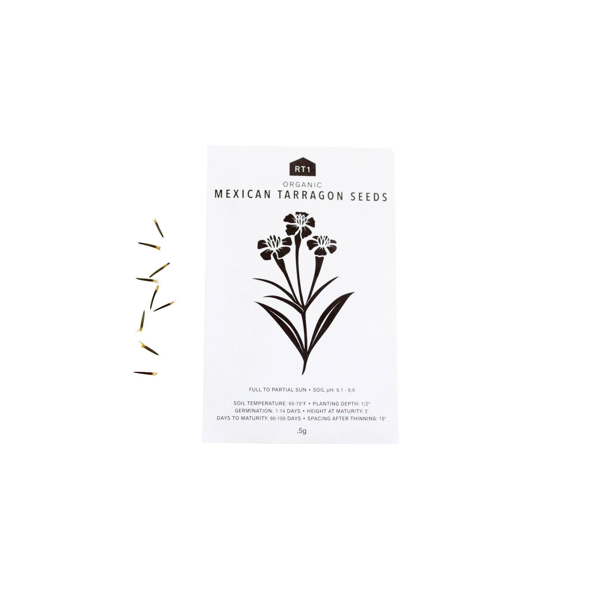 CULINARY HERB SEEDS II - PACK OF 5