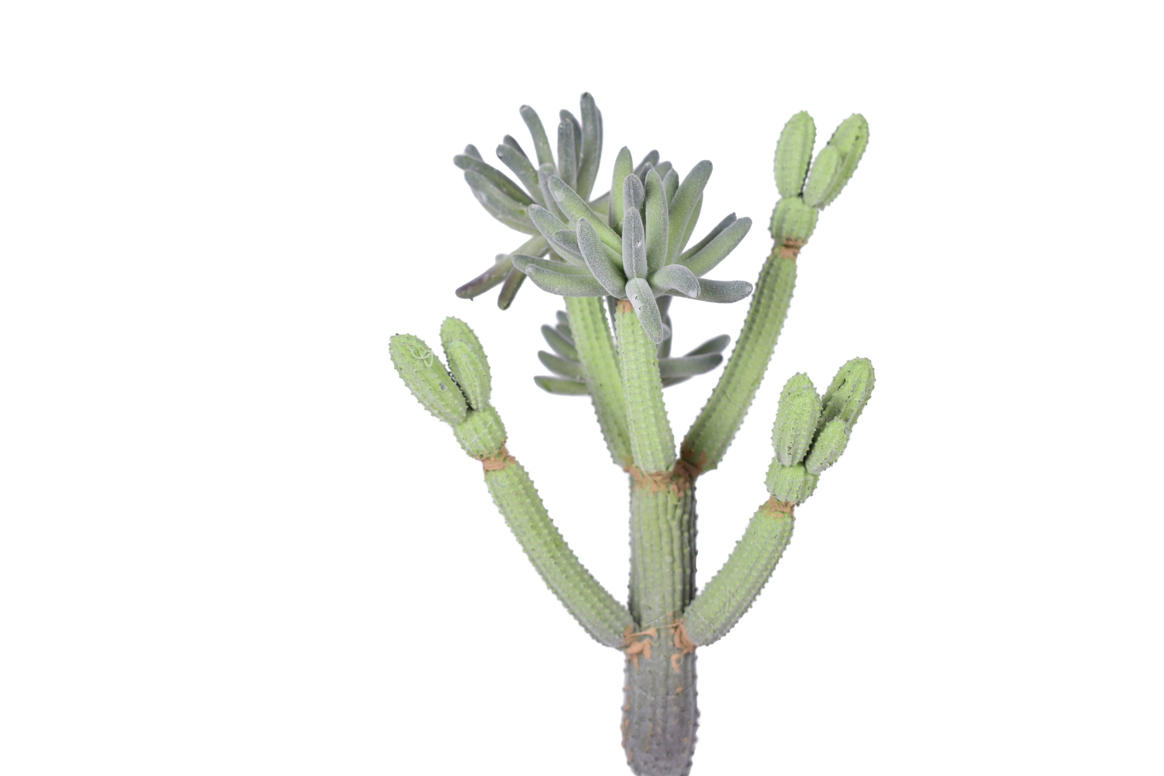 11.5" Flocked Multi Head Cactus Pick- Uv Protected CC1027UV