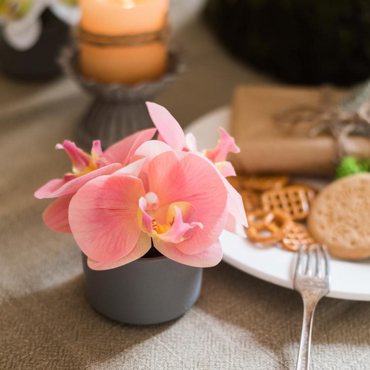 Artificial Flower Mini Real Touch Orchid in Peach Pink