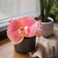 Artificial Flower Mini Real Touch Orchid in Peach Pink