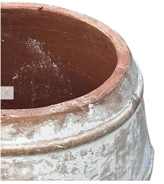 Vietnamese Wide Ribbed Planter