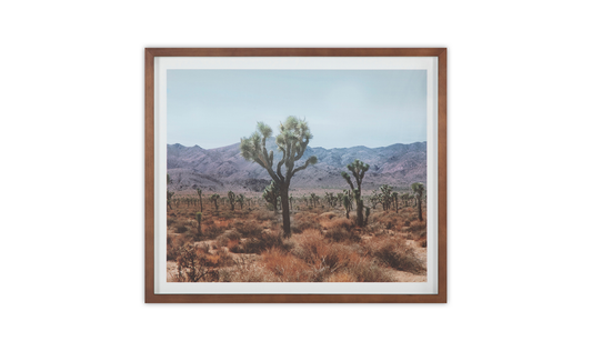 DESERT LAND FRAMED PRINT